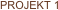 PROJEKT 1